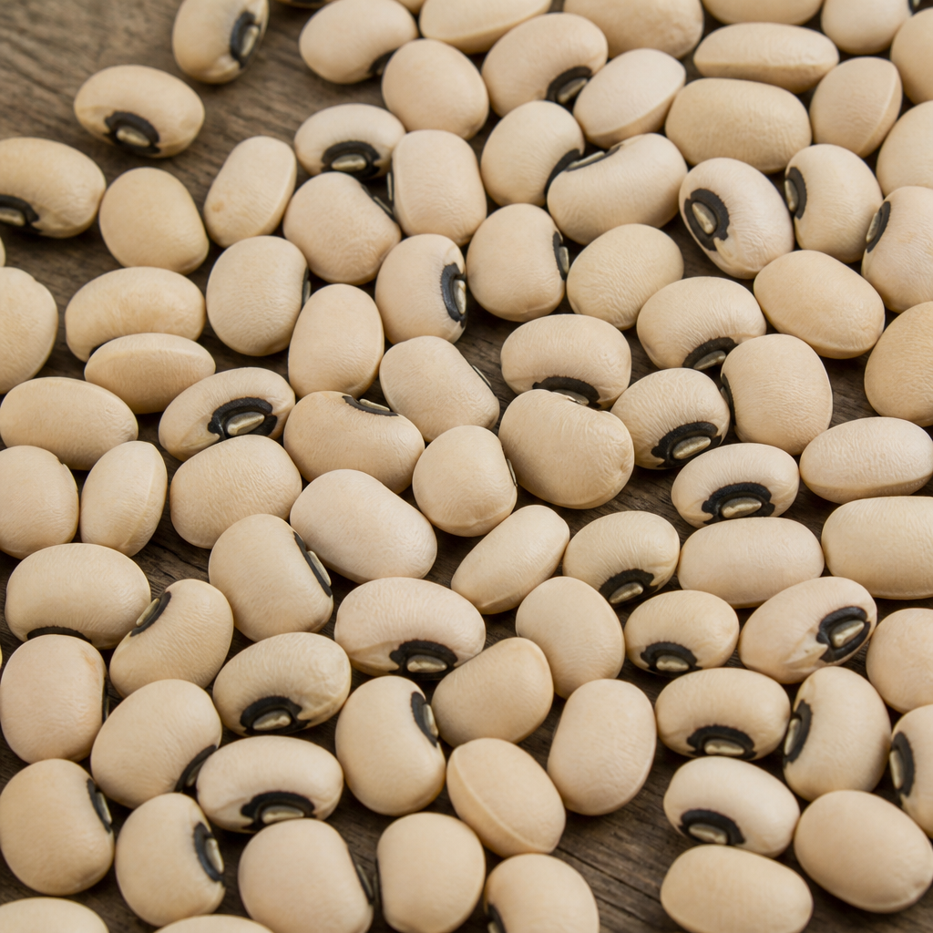 Cowpea Seed